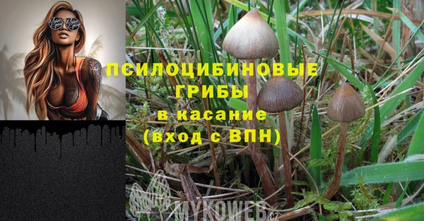 спайс Волосово