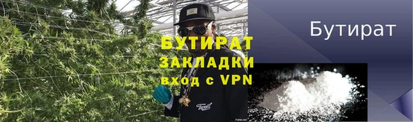ПСИЛОЦИБИНОВЫЕ ГРИБЫ Верея