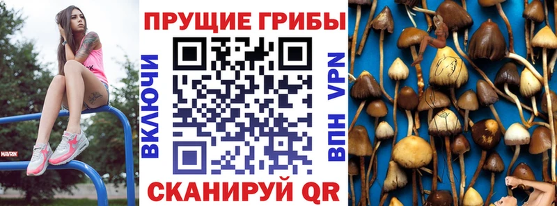 Псилоцибиновые грибы прущие грибы  Заволжье 
